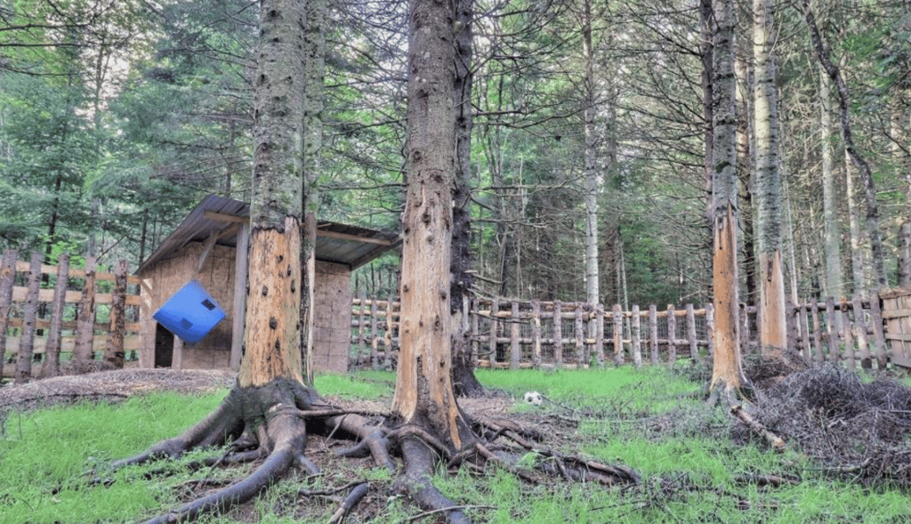 Fermette pleine de cachet sur 15 acres de forêt