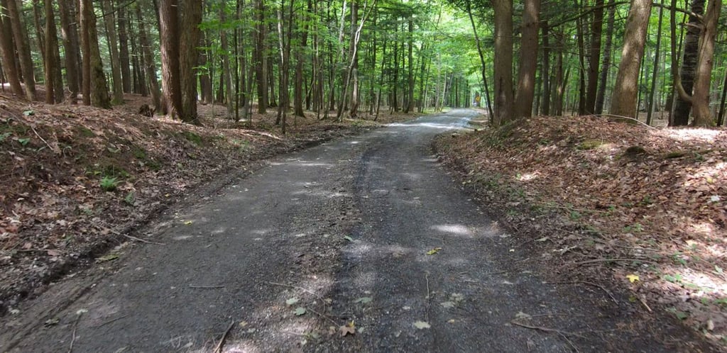 Sensationnel domaine privé bordant le majestueux Lac Memphrémagog