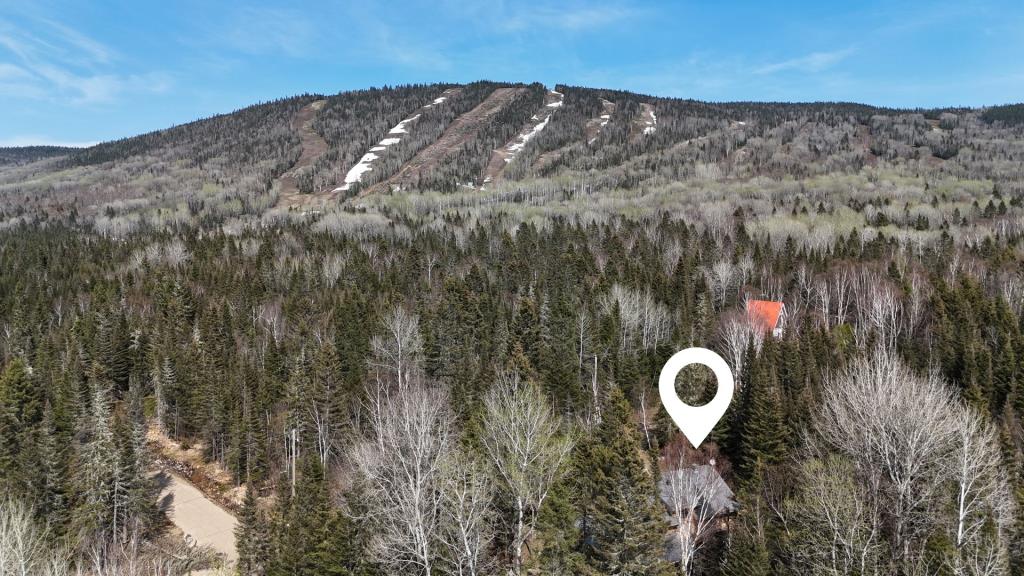 Prix réduit pour ce superbe refuge rustique au cœur de la forêt