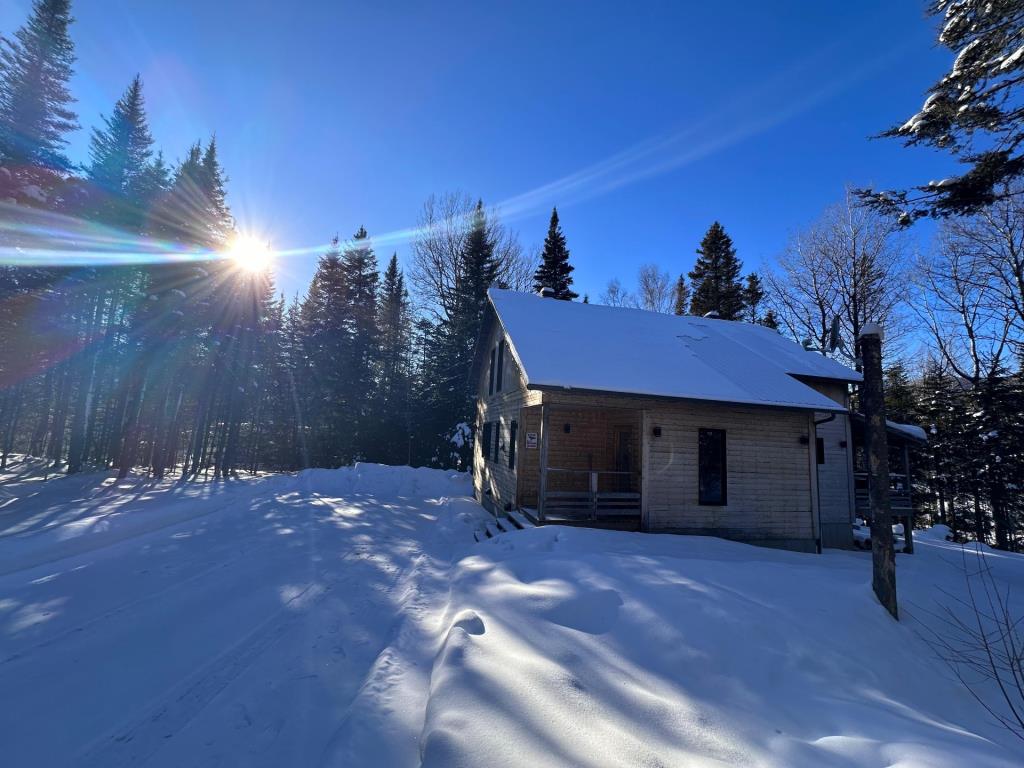 Prix réduit pour ce superbe refuge rustique au cœur de la forêt