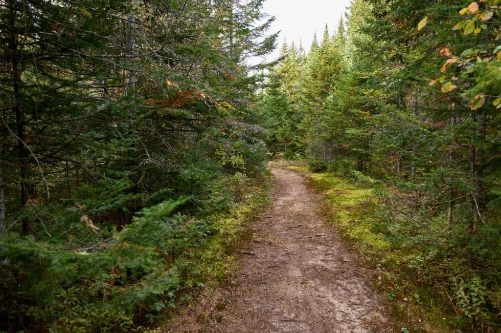 Superbe refuge sis sur un vaste lot de 283 510 pi² au cœur des montagnes