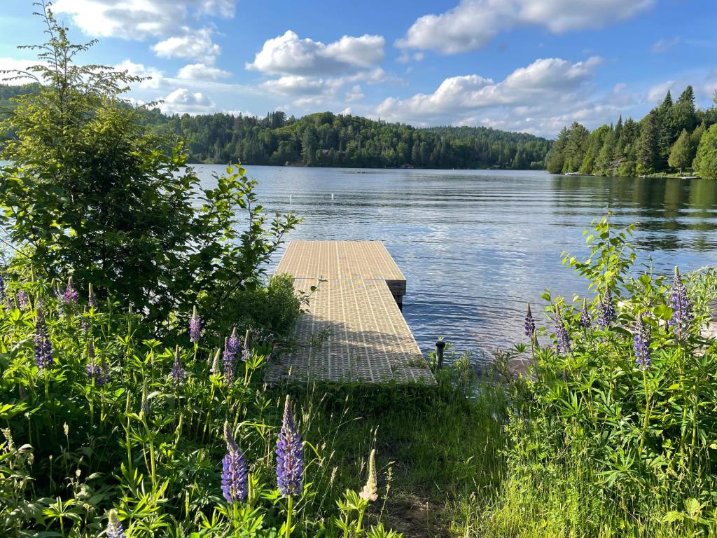 Vendu meublé! Chaleureux cottage avec vue sur le lac