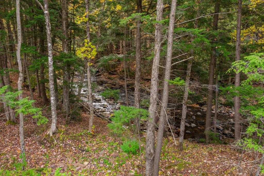 Impressionnante demeure de conception unique en bordure d'une rivière