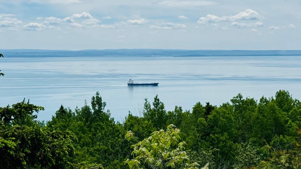 Des vues époustouflantes sur le fleuve vous attendent dans cette maison perchée parmi les arbres