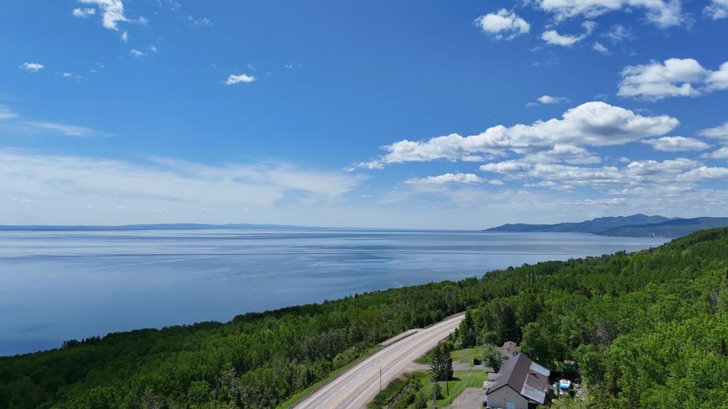 Des vues époustouflantes sur le fleuve vous attendent dans cette maison perchée parmi les arbres