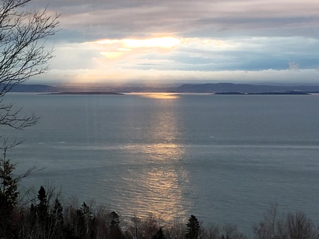 Des vues époustouflantes sur le fleuve vous attendent dans cette maison perchée parmi les arbres