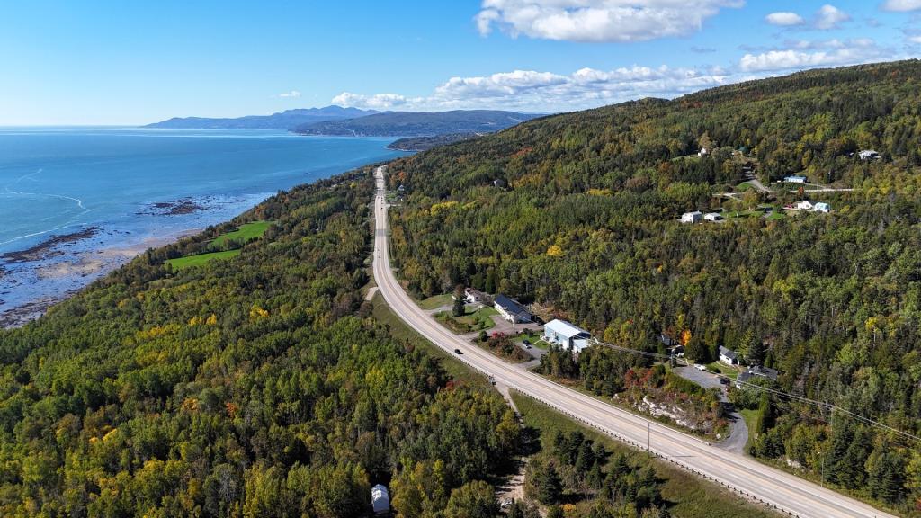 Des vues époustouflantes sur le fleuve vous attendent dans cette maison perchée parmi les arbres