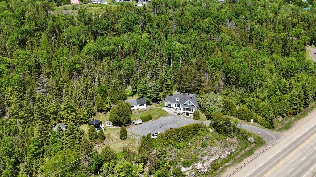 Des vues époustouflantes sur le fleuve vous attendent dans cette maison perchée parmi les arbres