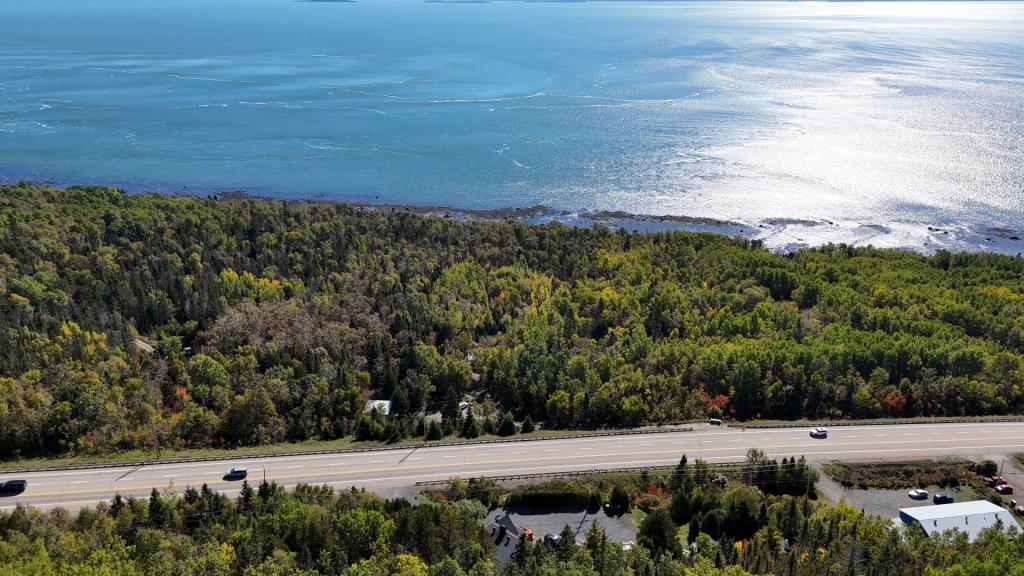 Des vues époustouflantes sur le fleuve vous attendent dans cette maison perchée parmi les arbres