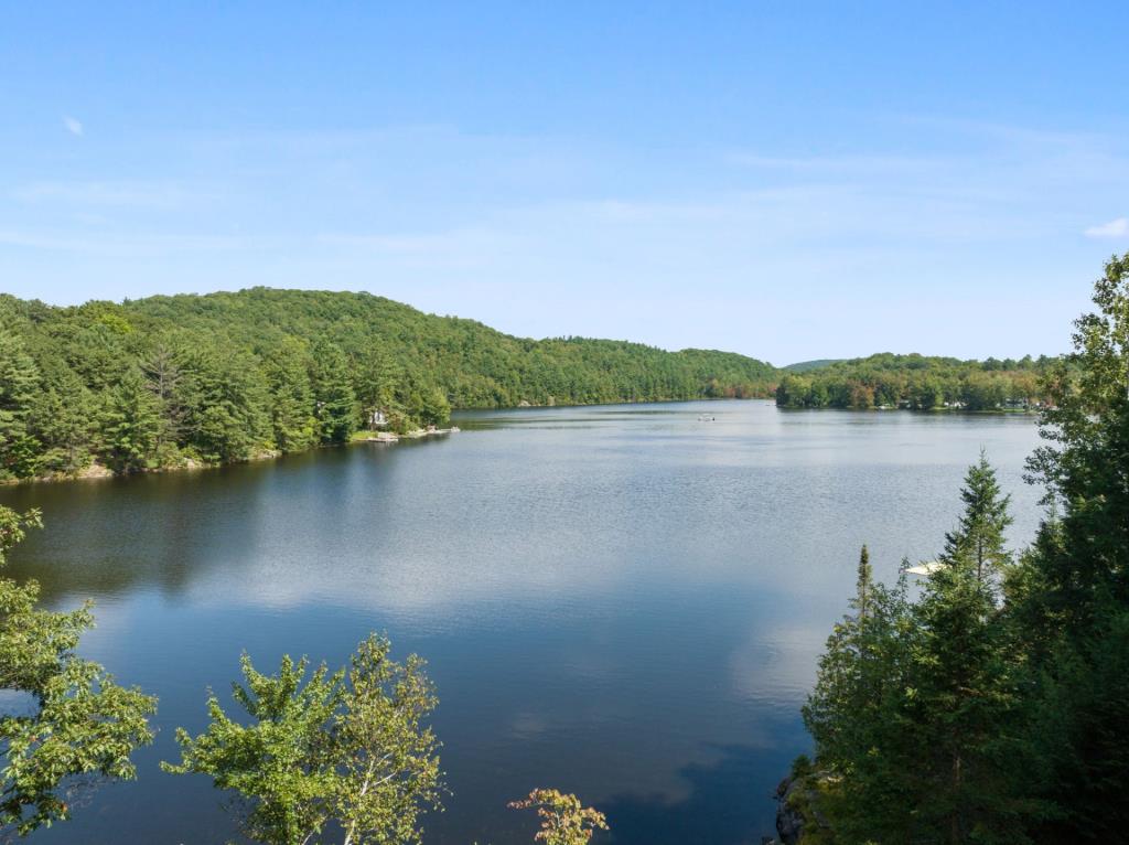 À vendre meublé! Chalet riverain au charme vintage