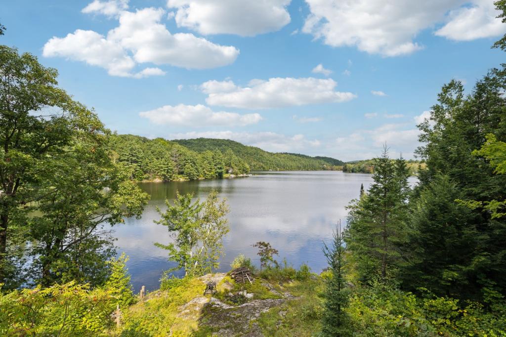 À vendre meublé! Chalet riverain au charme vintage