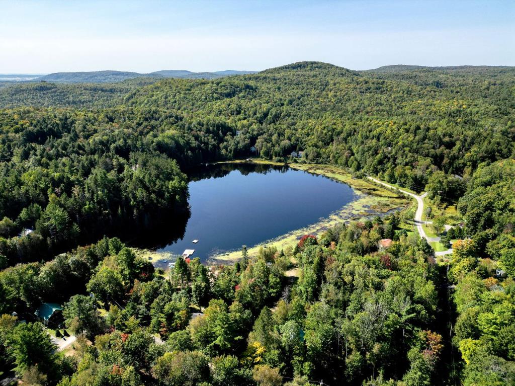 Majestueuse demeure en bois rond à quelques pas d'un lac