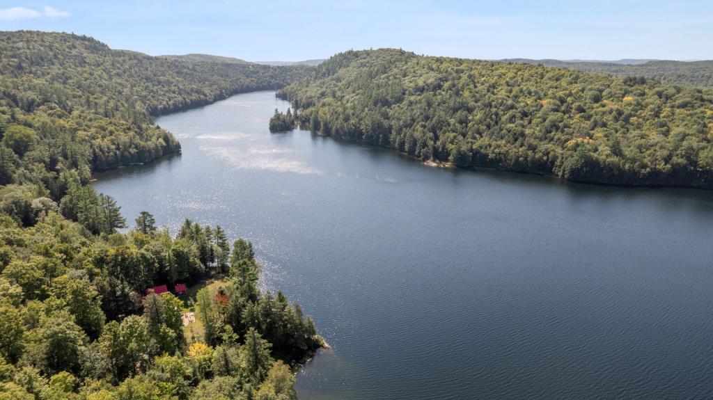 Une belle aubaine! Impeccable plain-pied entouré de nature à quelques pas d'un lac