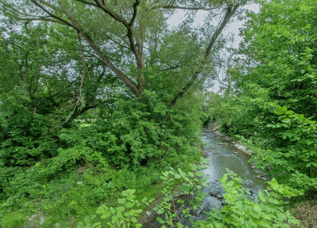 Vendue meublée avec goût ! Ancestrale de 1830 toute en pierres et bordée d'un ruisseau