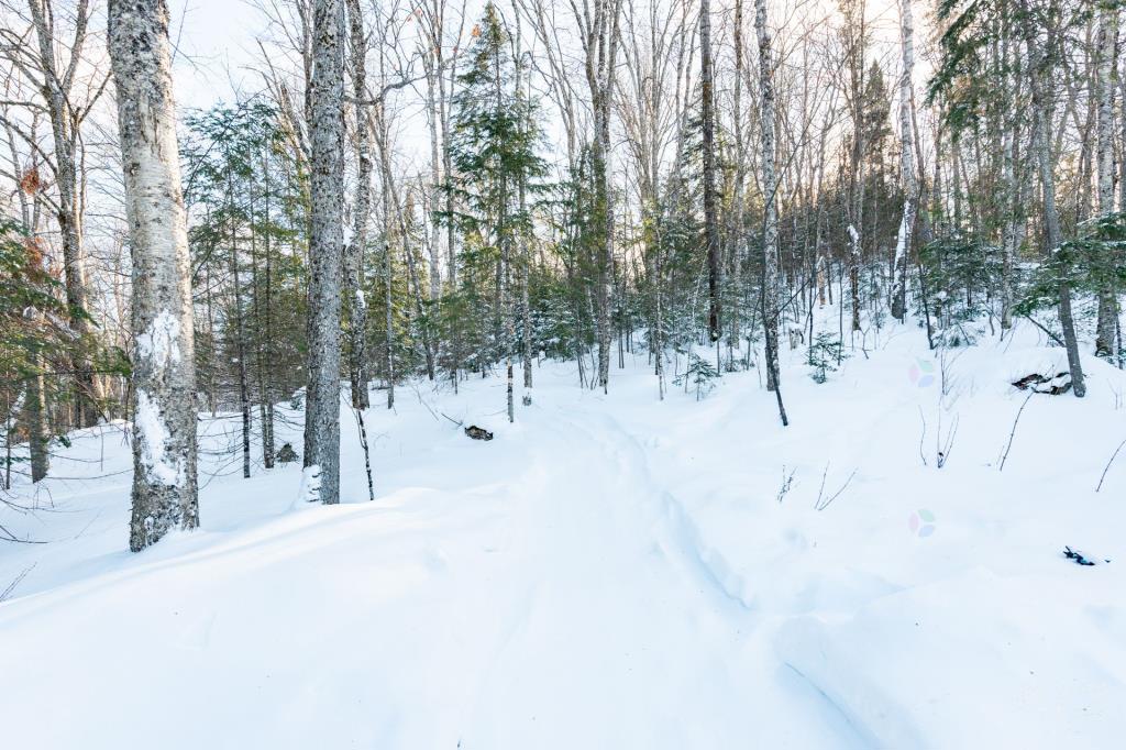 Paradis boisé de 70 485 pi² en montagne à quelques pas d'un lac