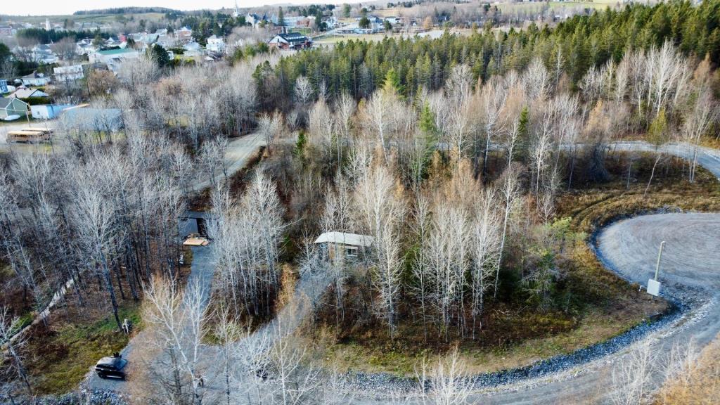 Renouez avec la nature dans cette mini maison parfaitement optimisée