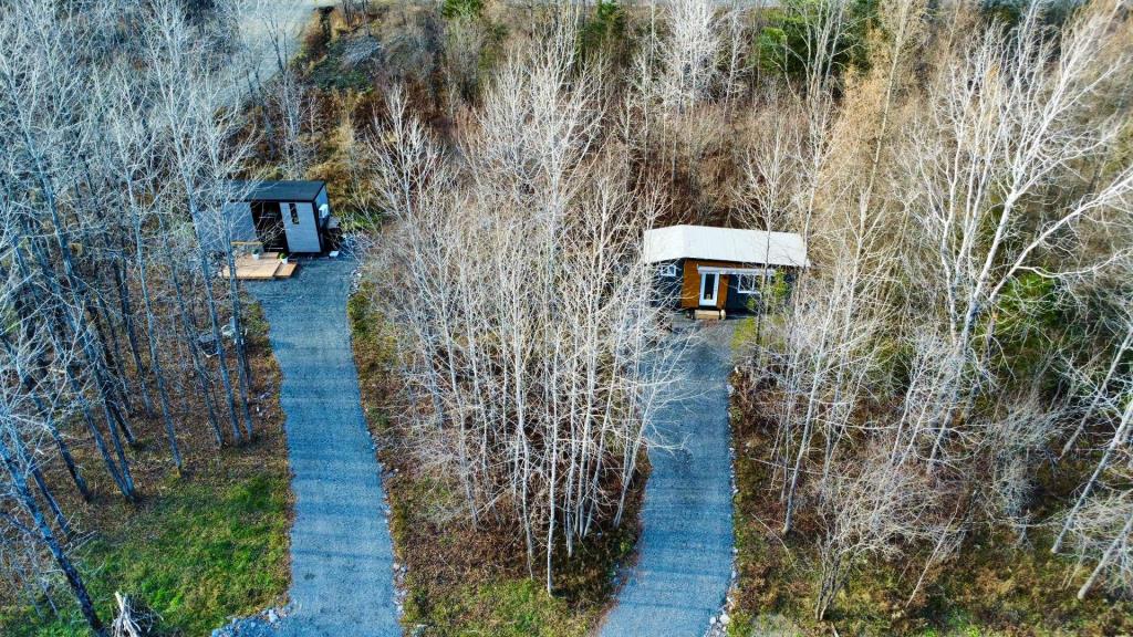 Renouez avec la nature dans cette mini maison parfaitement optimisée