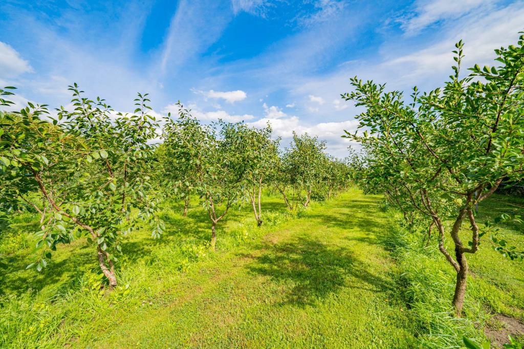 Parfaite demeure moderne nichée dans une oasis bucolique de plus de 1 000 000 pi²