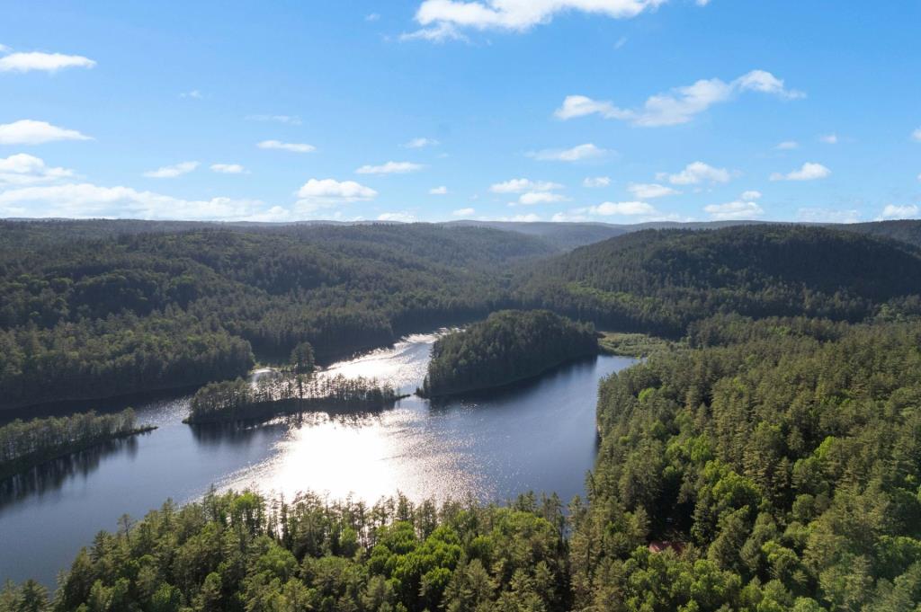 Pittoresque chalet en bois sur un terrain intime au bord de l'eau