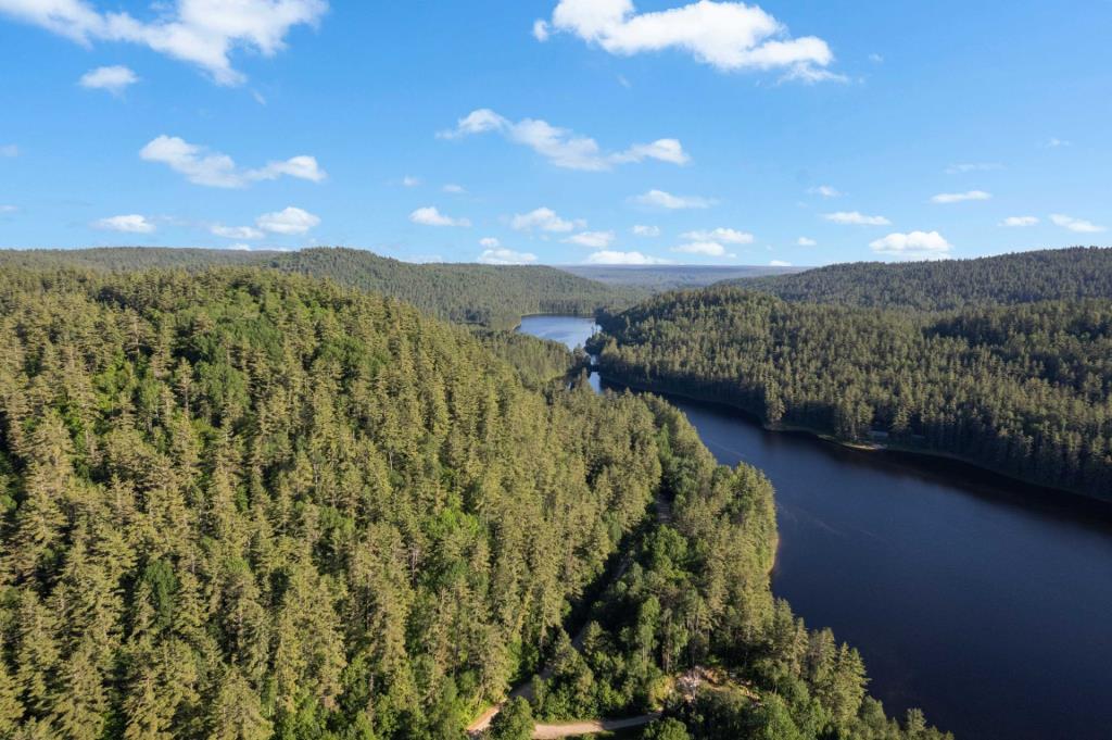 Pittoresque chalet en bois sur un terrain intime au bord de l'eau