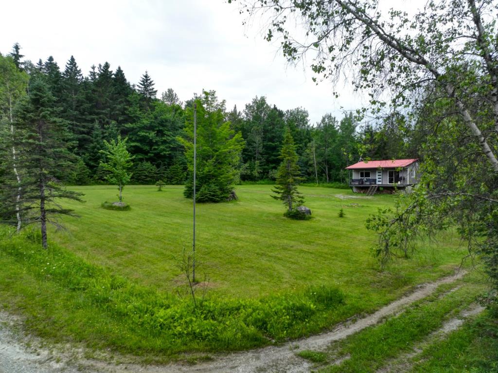 Joli chalet à 124 000 $ niché dans l'immensité de la forêt