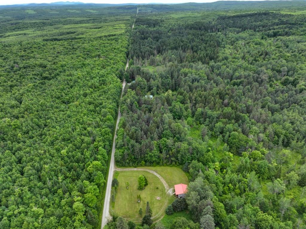 Joli chalet à 124 000 $ niché dans l'immensité de la forêt