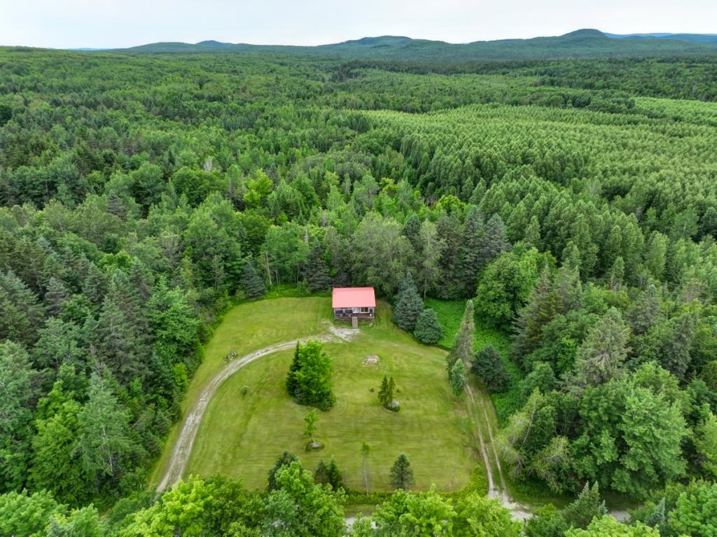 Joli chalet à 124 000 $ niché dans l'immensité de la forêt