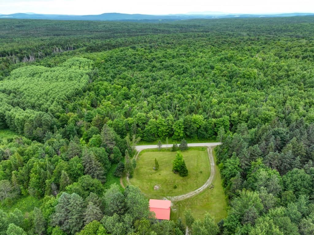 Joli chalet à 124 000 $ niché dans l'immensité de la forêt