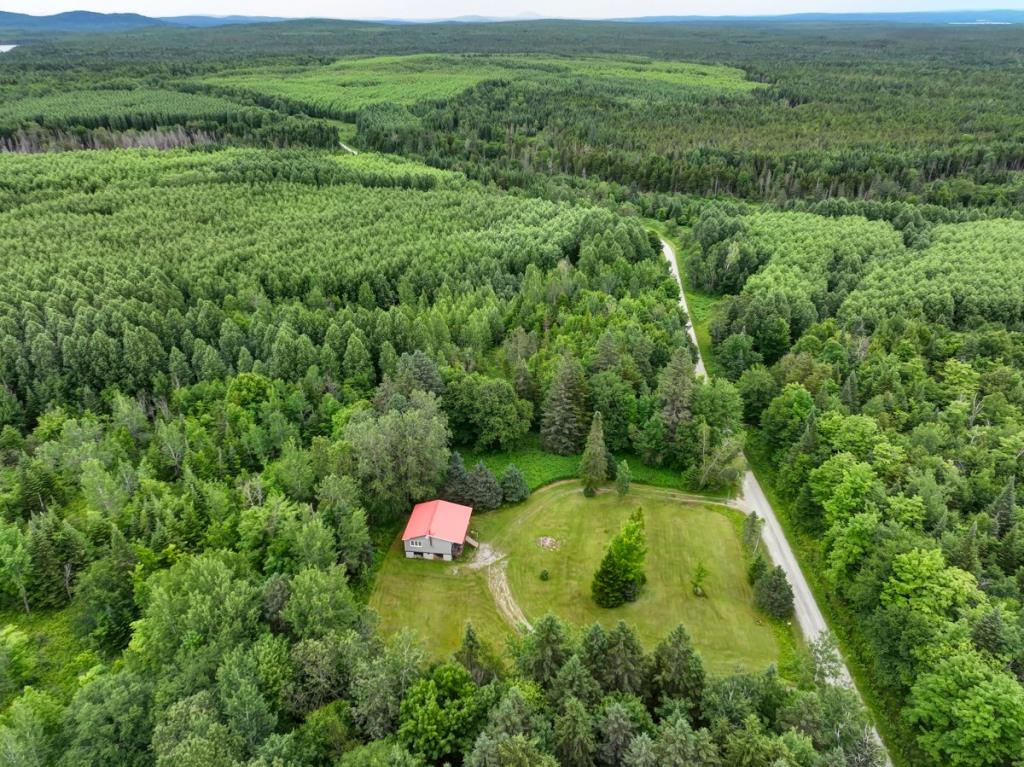 Joli chalet à 124 000 $ niché dans l'immensité de la forêt