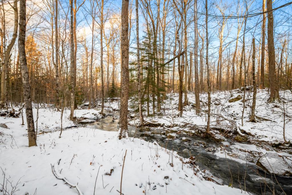 Bijou de design unique dans un environnement paradisiaque à 2 pas d'un lac