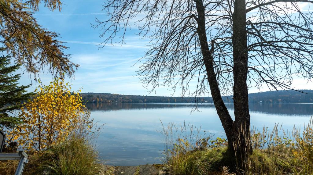 Une vie rêvée au bord de l'eau vous attend dans cet accueillant cottage riverain