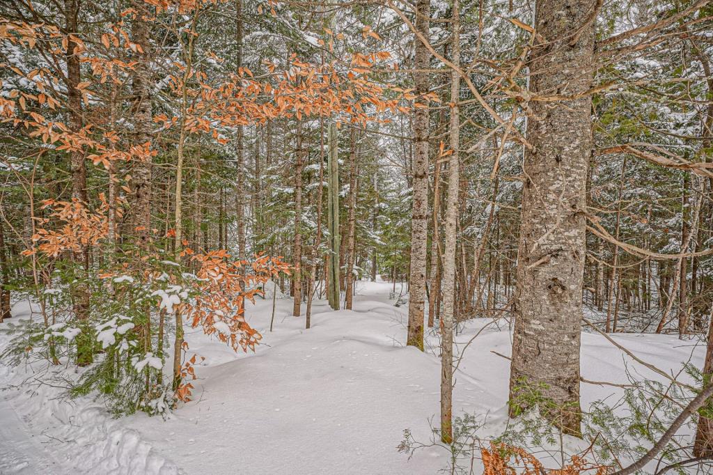 Lumineuse demeure luxueusement rénovée et nichée en montagne