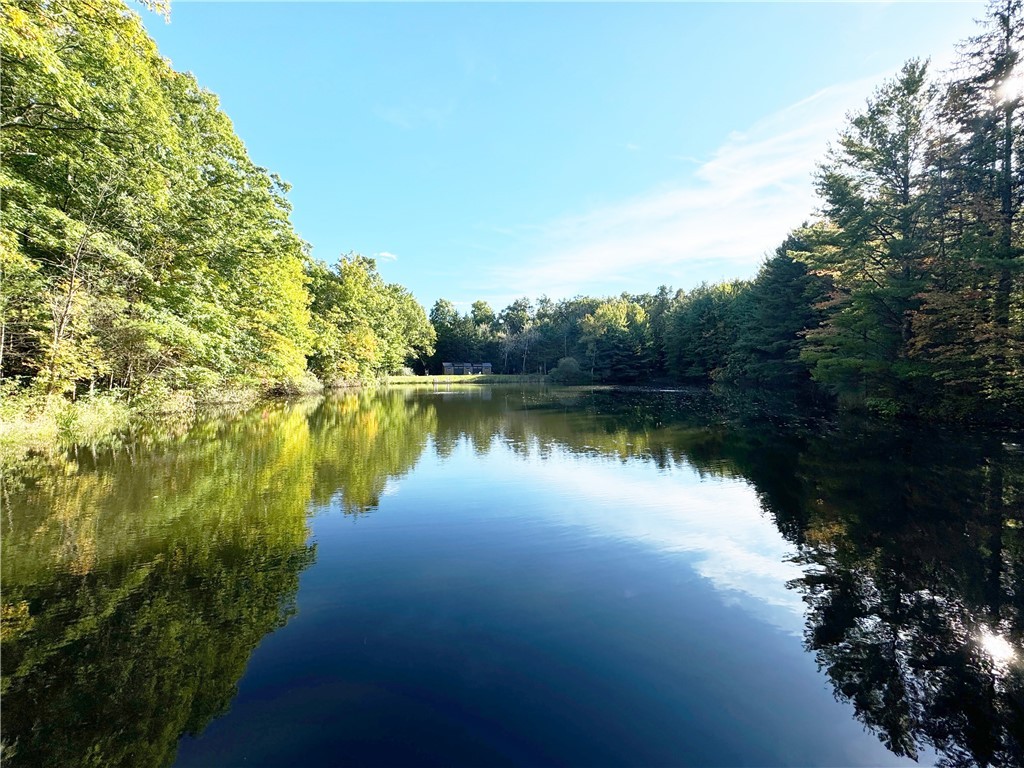 Entièrement meublé! Charmant petit chalet surplombant un paisible plan d'eau