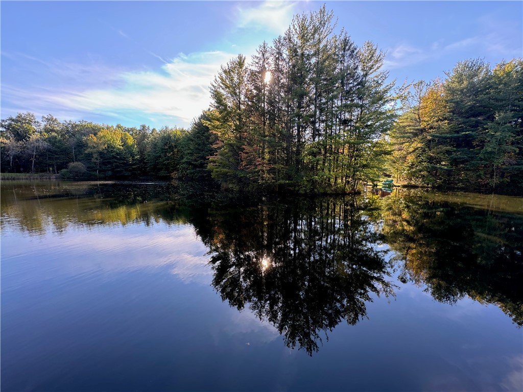 Entièrement meublé! Charmant petit chalet surplombant un paisible plan d'eau