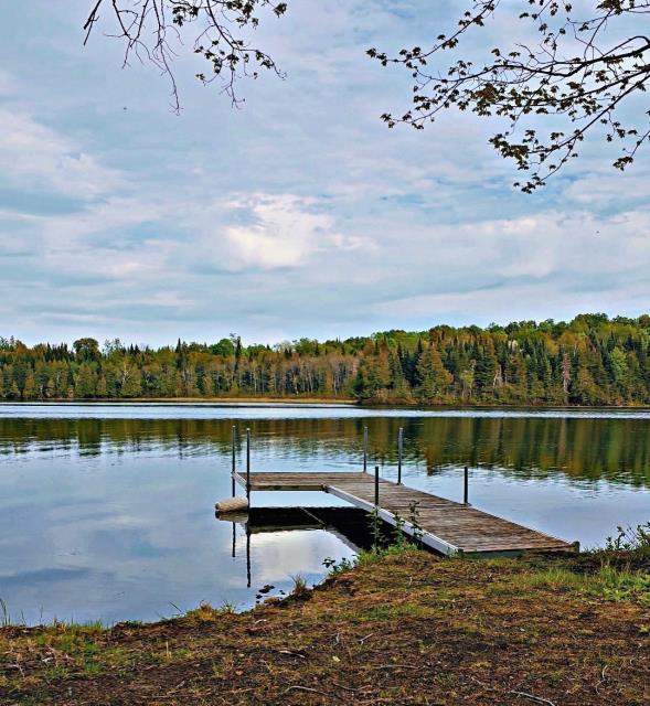 Splendide refuge blotti au creux de la forêt sur la rive d'un lac