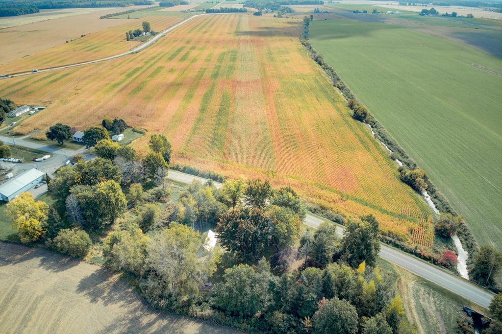 Ravissante centenaire campée dans un magnifique environnement bucolique