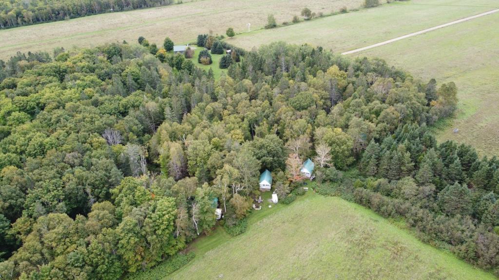 Prix réduit à 23 000 $ pour ce coquet chalet niché en pleine nature