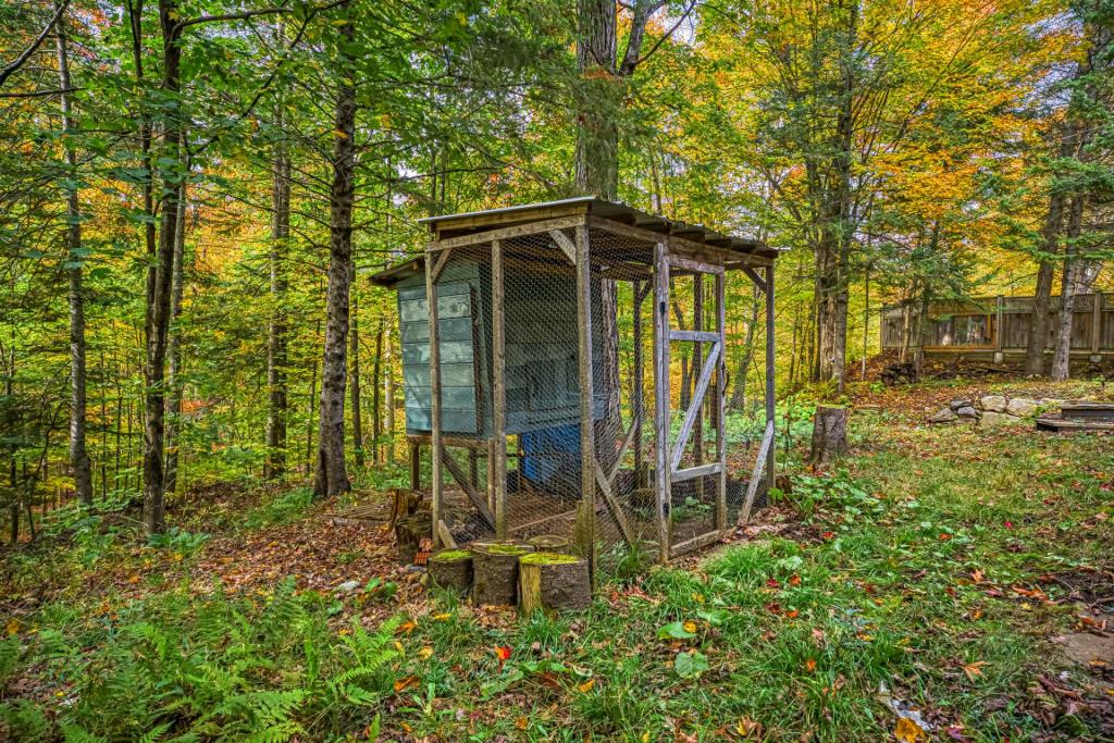 Chaleureuse et pittoresque demeure dans un paisible coin de nature