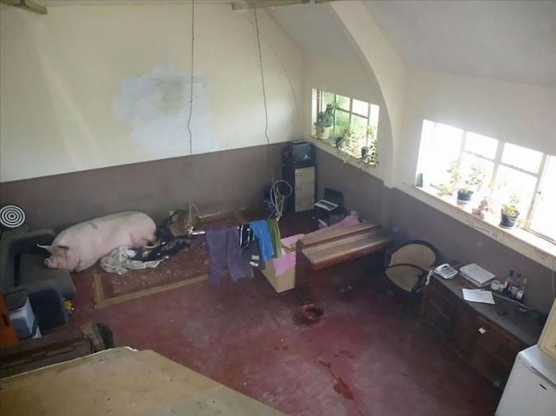 Les pires photos de maisons à vendre