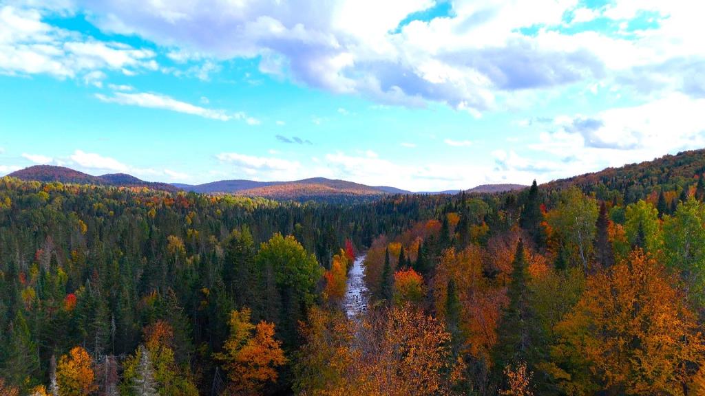 Spectaculaire résidence sise sur une immense terre de 105 acres entourée de montagnes