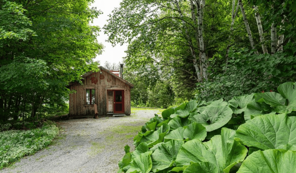 Belle d'autrefois avec petite cabane à sucre au pied d'une chute