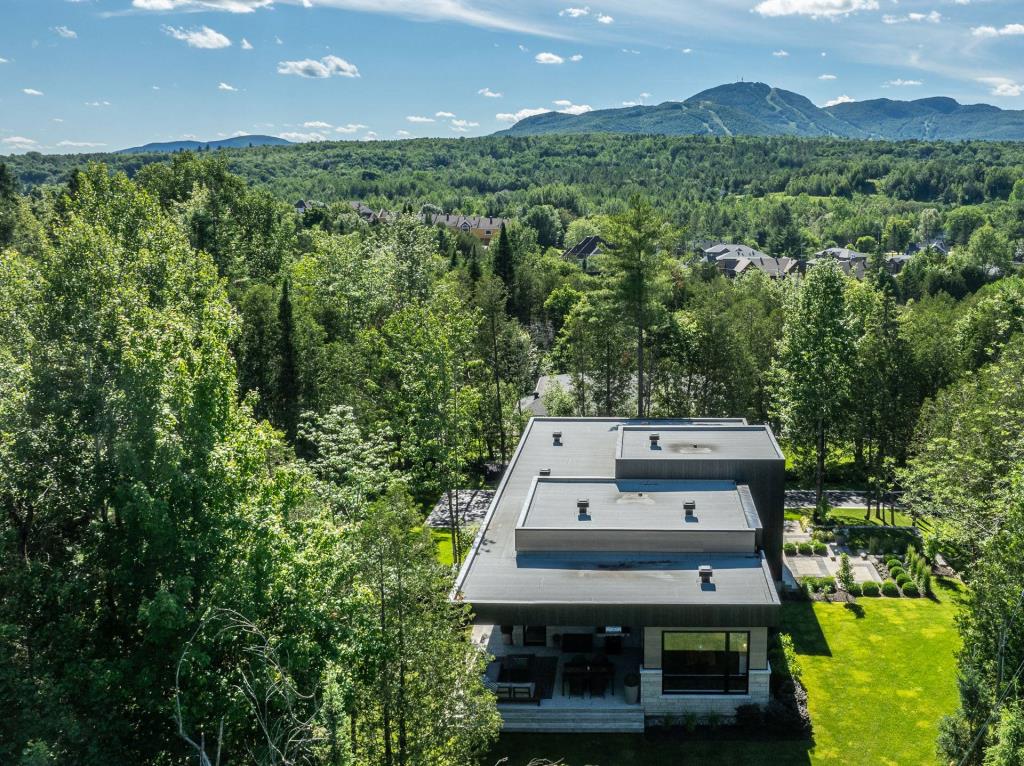 Beauté contemporaine en pleine nature avec vue sur la montagne