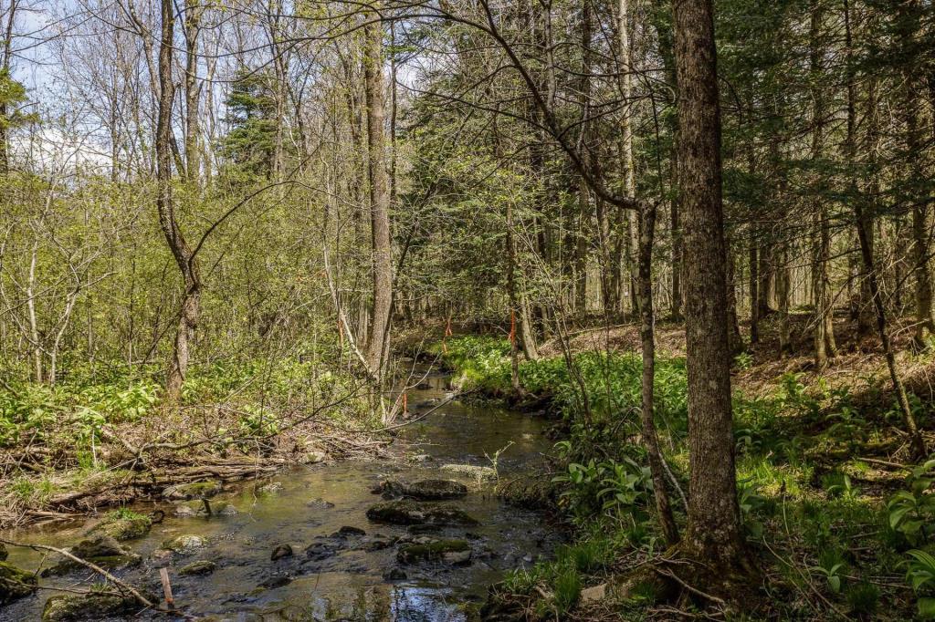 Sérénité et vie champêtre à son meilleur dans cette oasis naturelle de plus de 200 000 pi²