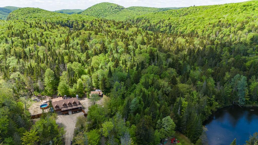 Séduisante maison canadienne au cachet chaleureux nichée au cœur de la forêt