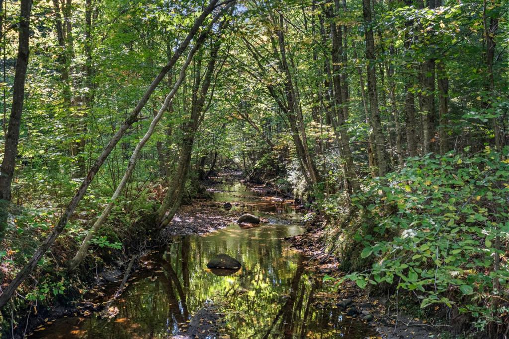 Superbe centenaire sise sur un époustouflant site de plus de 70 acres