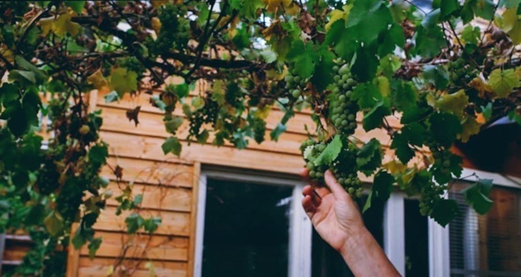 Un couple crée une serre innovante pour maintenir la chaleur de leur maison en hiver