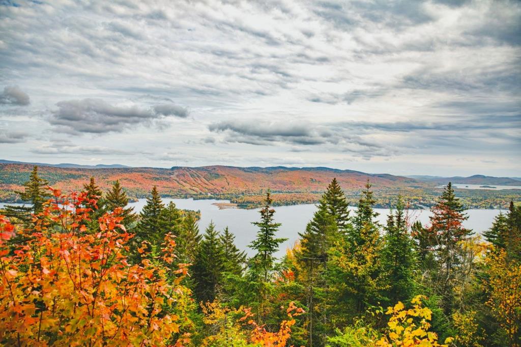 Séduisante propriété surplombant les eaux calmes d'un lac au milieu de la forêt