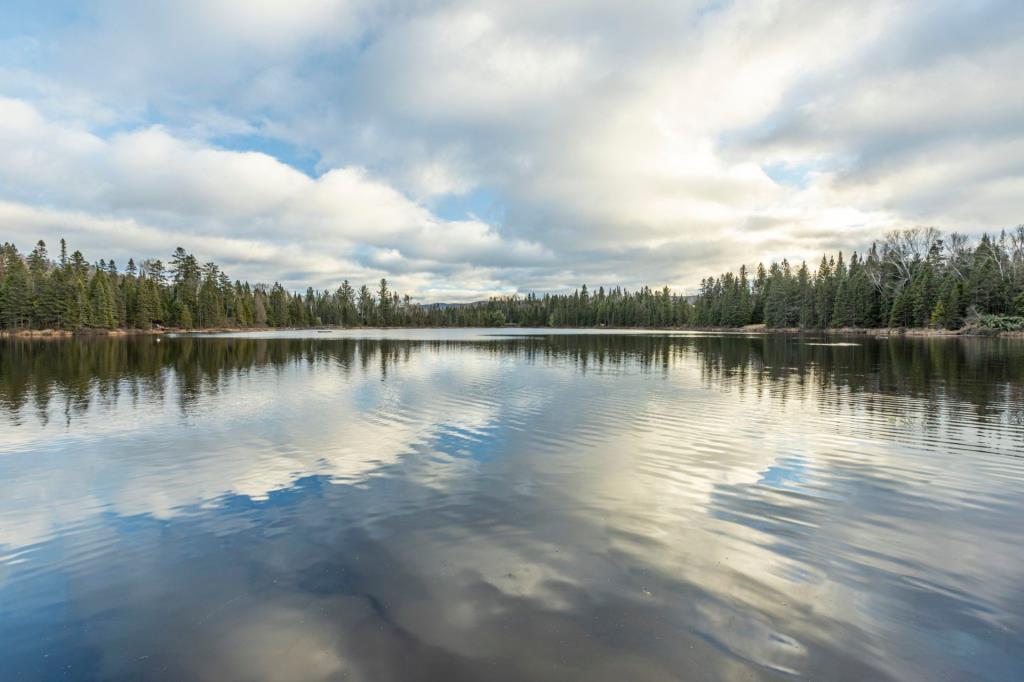 Séduisante propriété surplombant les eaux calmes d'un lac au milieu de la forêt