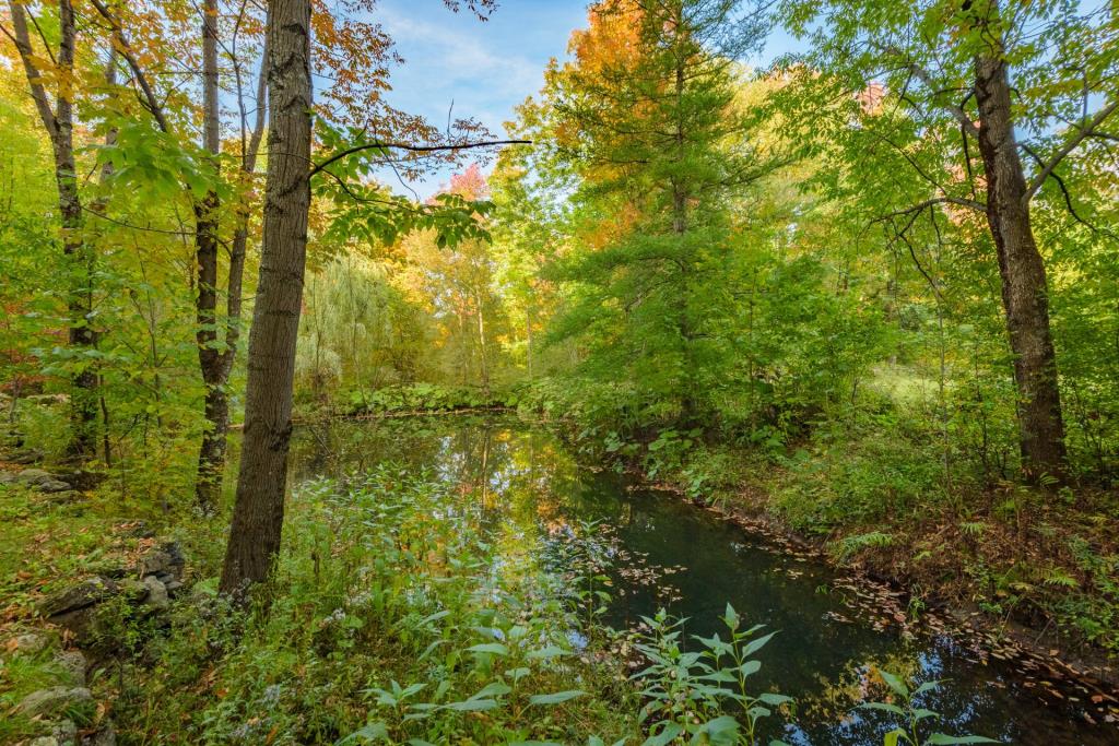 Merveilleuse centenaire nichée en toute intimité sur une terre de 14 acres