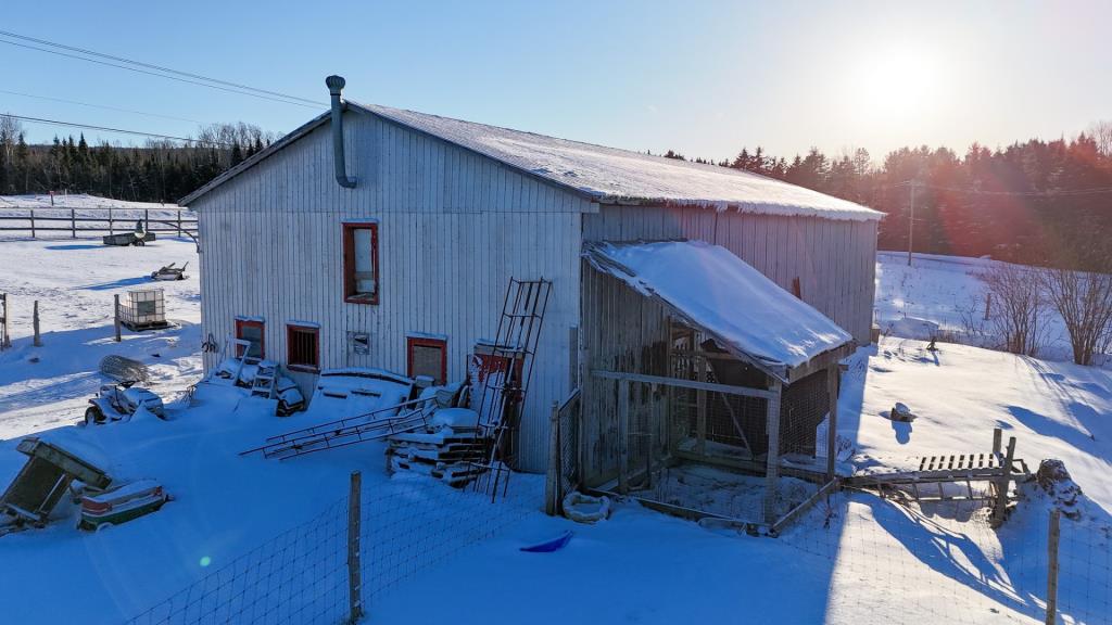 Spacieuse centenaire de 5 chambres à 148 000 $